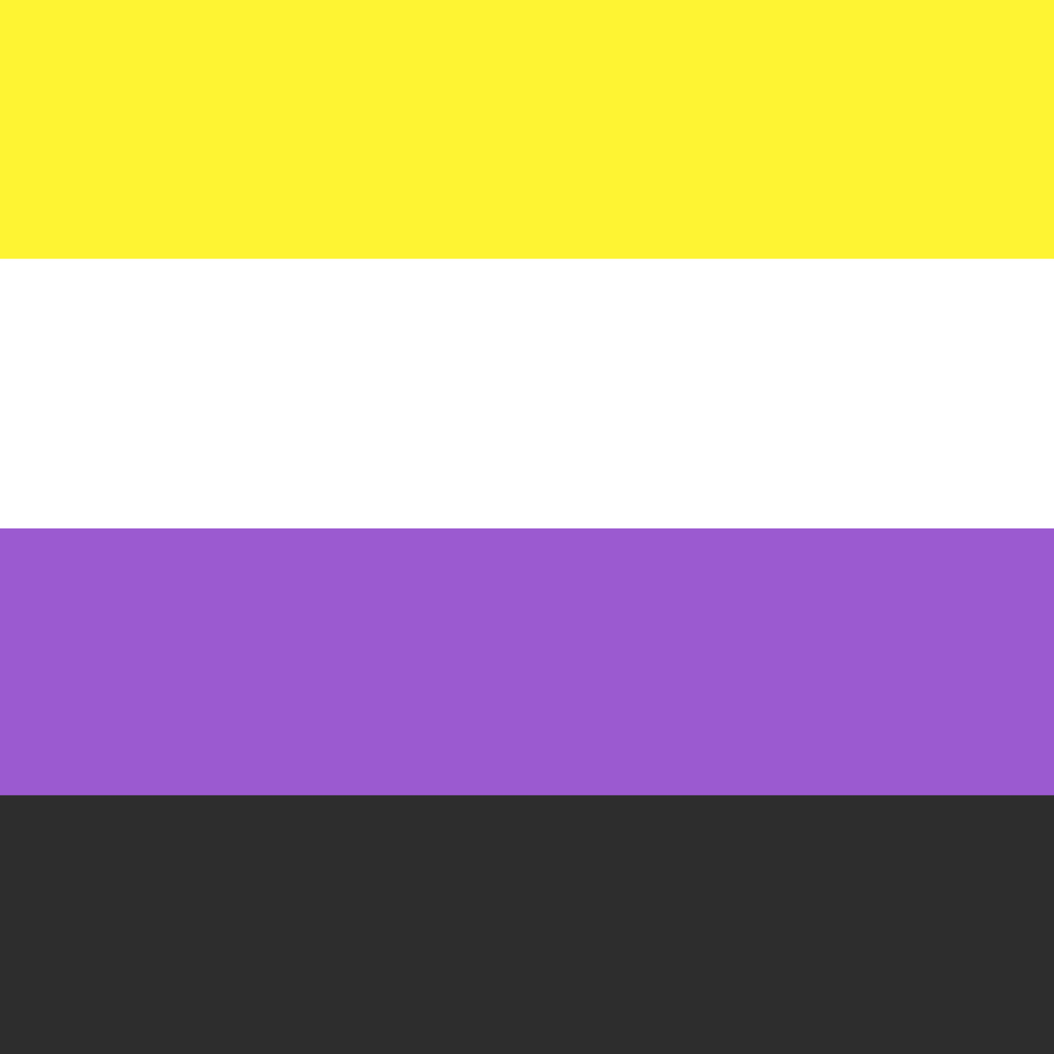 Non Binary Pride