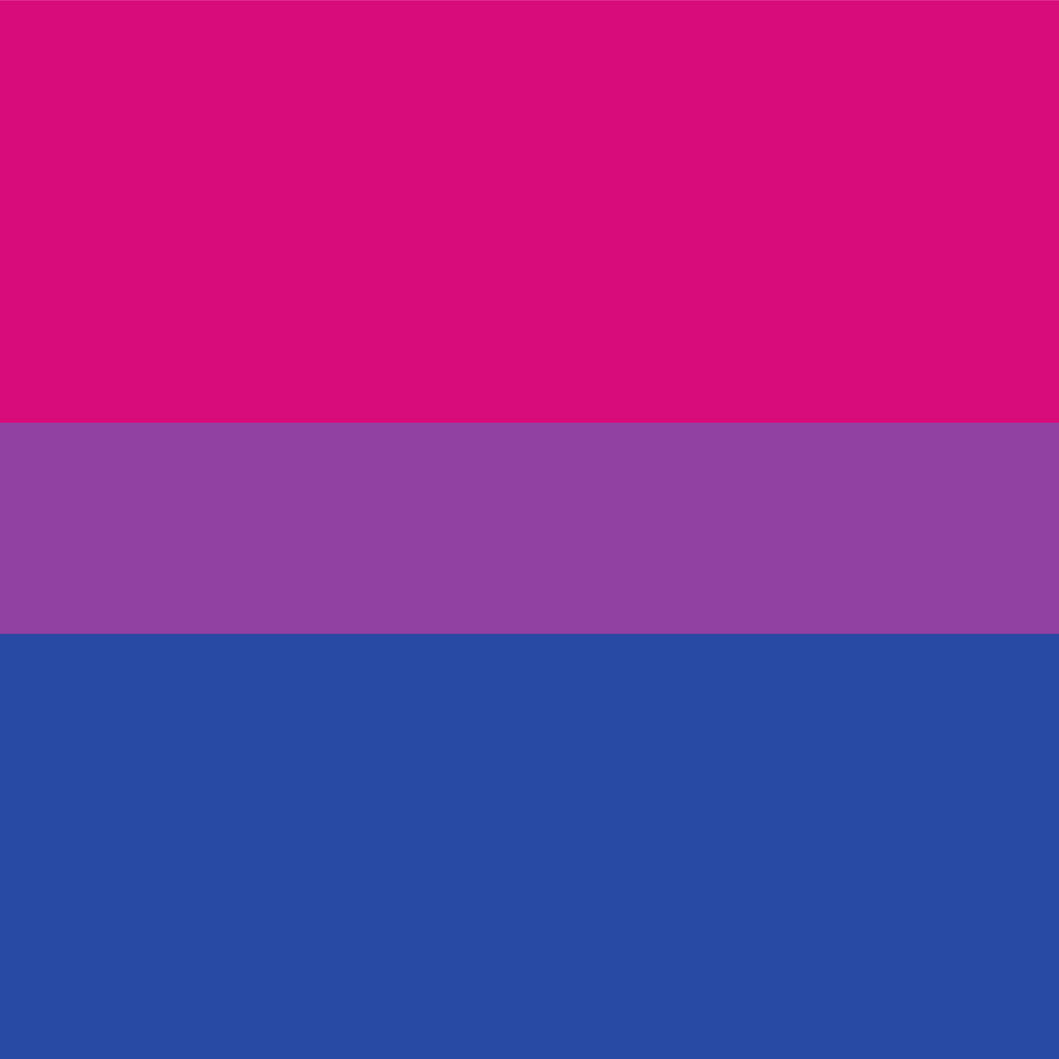 Bi Pride